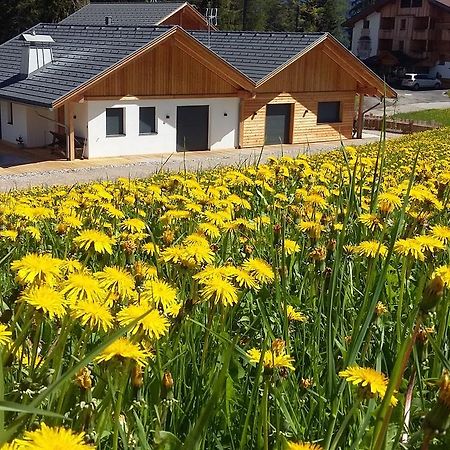 Chalet Soredl Antermoia Exteriör bild